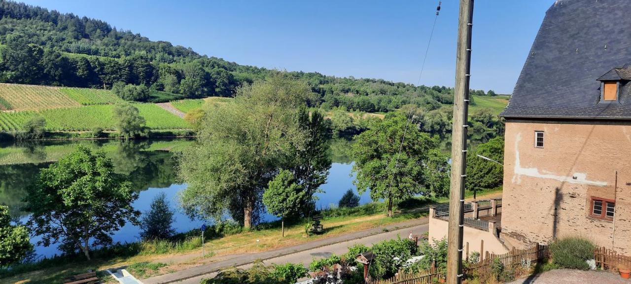 Apartment In Spay Smile Zell-Merl Mosel Zell an der Mosel Exterior foto